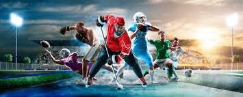 [网球]联合杯开赛在即 中国队动物园巧遇加拿大队